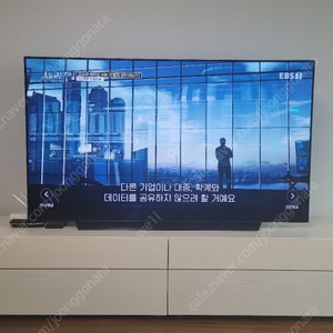 LG 올레드 65인치 OLED TV