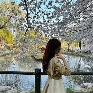 포모드백(보냉백)