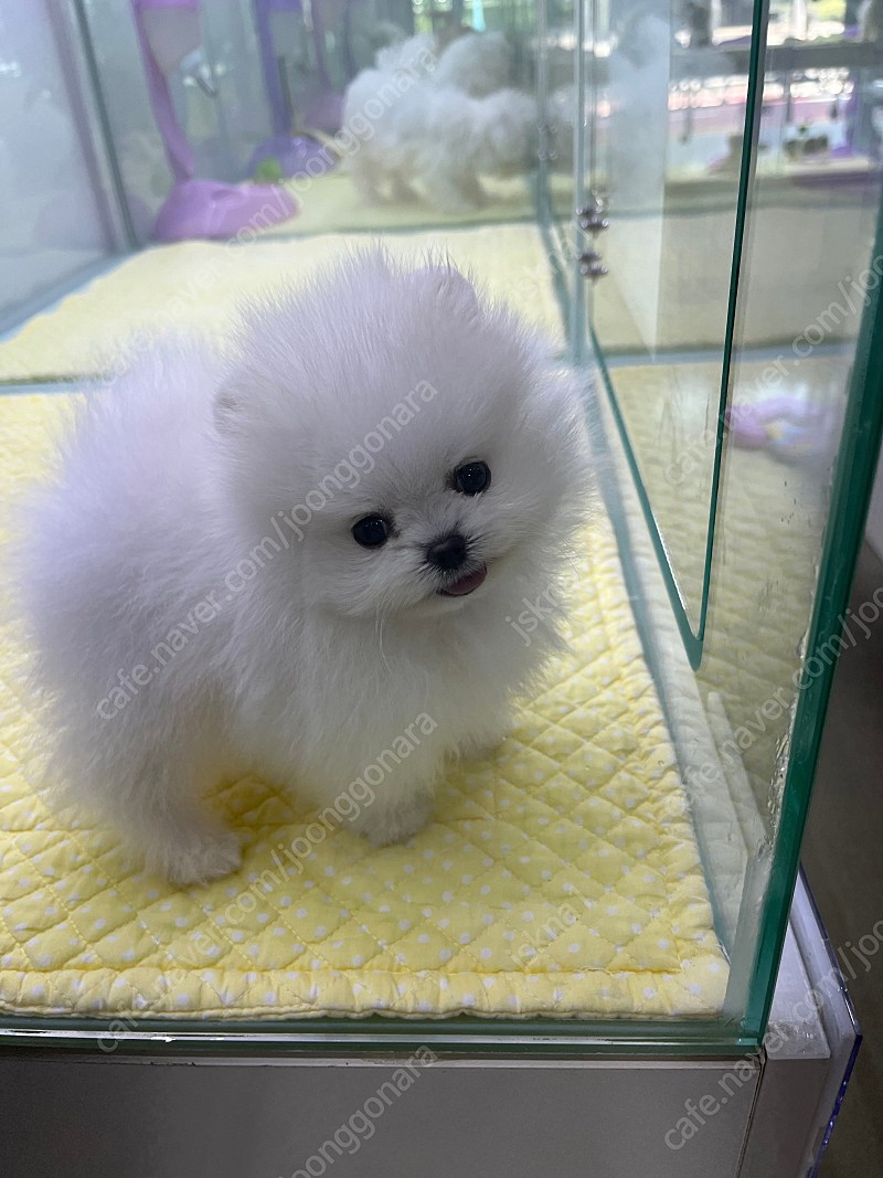 쿠팡 기프트카드 90%가격으로 구매합니다 선받고 사기 안당해요~