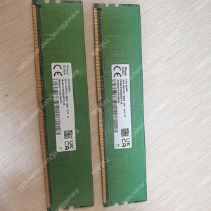 삼성 DDR5-4800, SK하닉 DDR5-5600 8기가 16기가