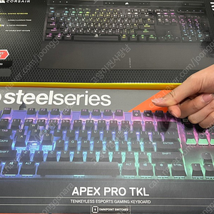 스틸시리즈 apex pro tkl (2023) 팝니다