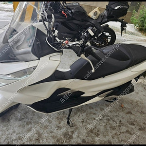 pcx125 2019년식 킬로수 짧은거 팝니다(14936Km)