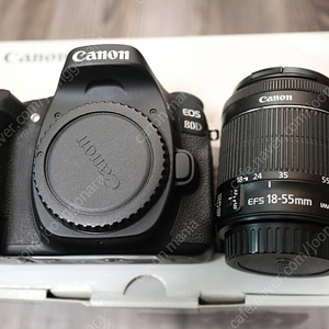 캐논 80D 18-55STM , 17-55IS , 시그마30.4