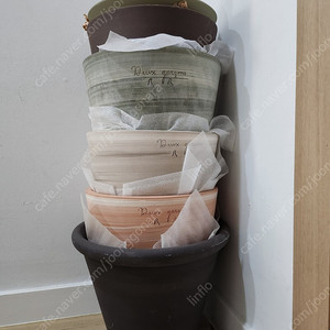 두갸르송 그린회오리비올레27 . 모카 회오리 비올레27 오리지날 회오리비올레27. 고화도 비올레 27. 그린벨 24. 브론즈비올레11. 그레이유약비올레11