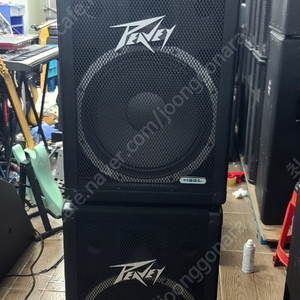 PEAVEY 115DL 스피커