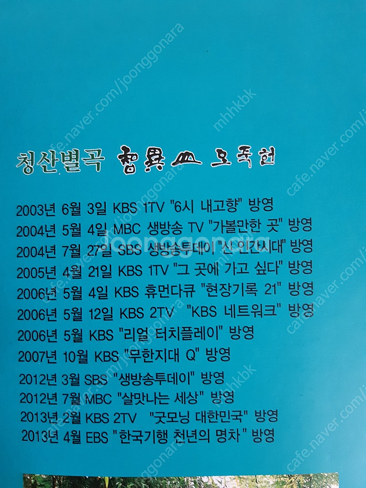 황차 녹차--5