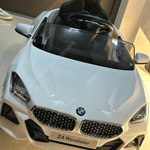 Bmw z4푸쉬카