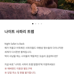 에버랜드 나이트사파리 양도 10/2 당일