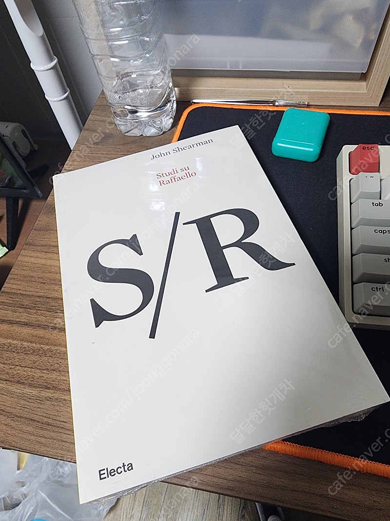 S/R(Studi su Raffaello - John Shearman)이태리어 원문