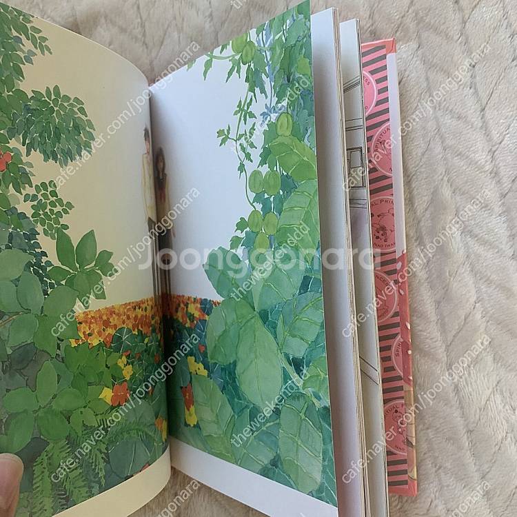 순정만화일러스트집판매(사이토치호,나카지유키 salad,...--9