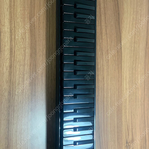 호너 멜로디언 HOHNER 건반 하모니카 Superforce-37