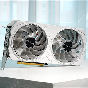 4060 ti 화이트 색상 구매합니다