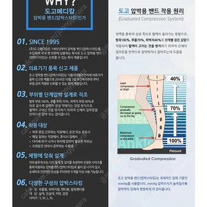 도고 렉스타 새 상품 사이즈s입니다