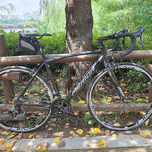 메리다 스컬트라200 로드자전거