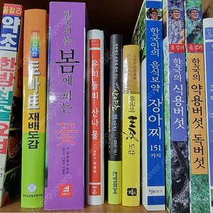 우리들의 산나물 / 박종희(지은이) / 해피앤북스