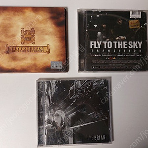 플라이투더스카이(Fly to the sky), 브라이언(Brian) CD