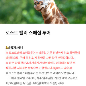 에버랜드 로스트밸리 스폐셜 투어