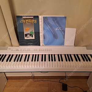 야마하 디지털 피아노 화이트 YAMAHA P-105