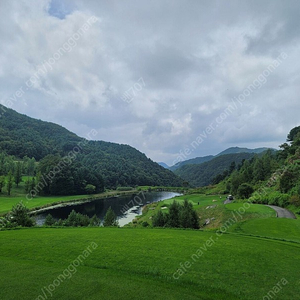 ktx 서울 부산 양도합니다.