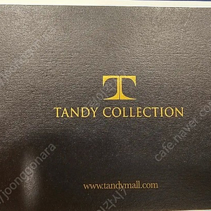 탠디 교환권 판매해요.(Tandy )