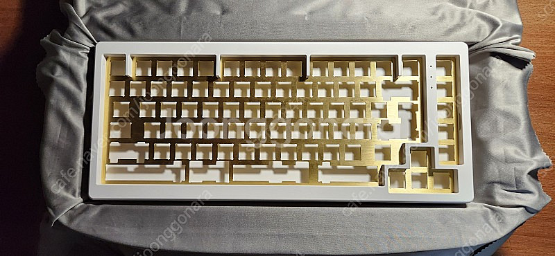 tx75v2 전기영동 화이트--0