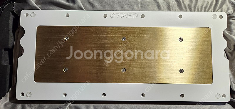 tx75v2 전기영동 화이트--3