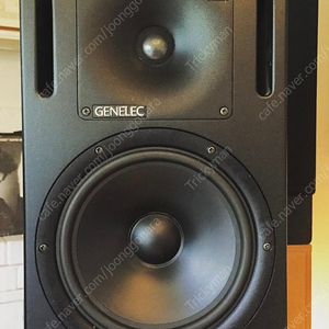 제네릭 Genelec 1031A 모니터 스피커 팝니다. (연번 넘버)