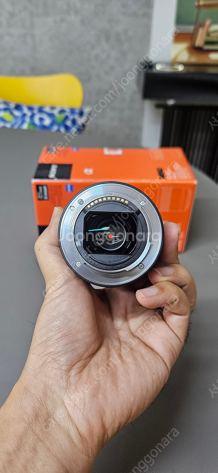 소니 칼자이스 55미리 F1.8--1