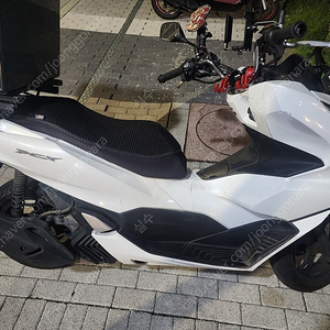 22년식 pcx 125 27xxxkm 판매합니다