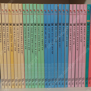 교원 호시탐탐 박물관