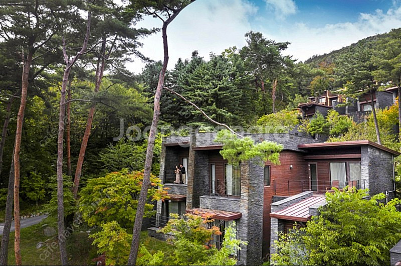 제천 리솜 포레스트 10월21일 조식 2인 양도--0