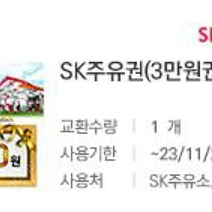 sk주유상품권 3만원권