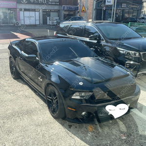 2010 머스탱 쉘비룩 mustang shelby look