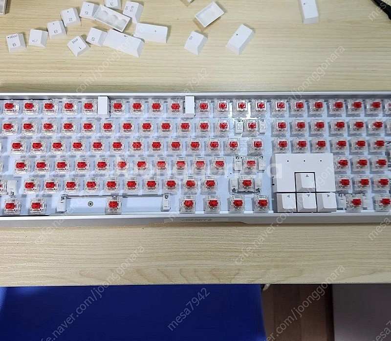 체리 MX BOARD 3.0S RGB 적축 풀윤활 키보...--6