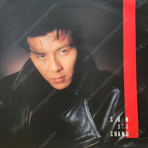 손지창 lp
