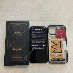 아이폰 12 pro max Gold 256GB