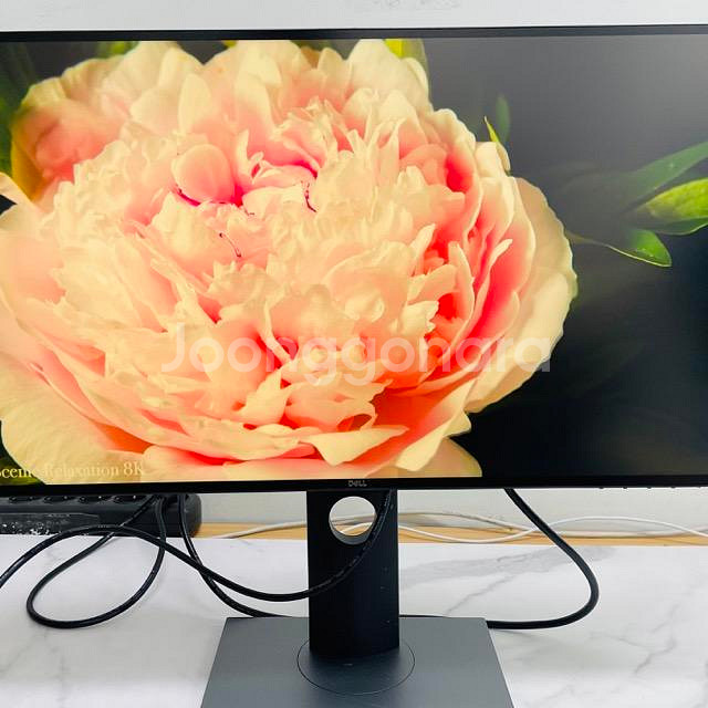 DELL UltraSharp 25인치 모니터U2520--1
