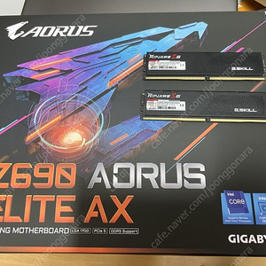 Z690 Aorus Elite AX D5 + Gskil