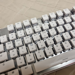 로켓 벌칸 pro tkl 과 버스트 pro 마우스 셋트