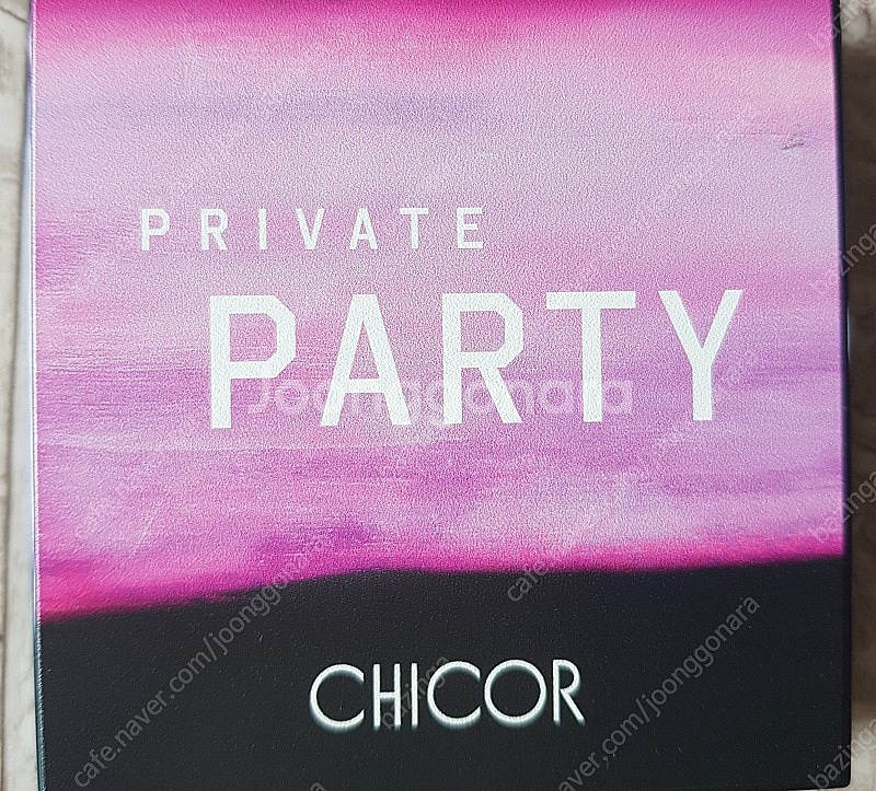 시코르 섀도우레트 프라이빗파티--1