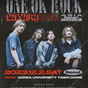 ONE OK ROCK 원오크록 티켓 지정석 2층 B구역 13열대 연석2자리 싸게 양도합니다!