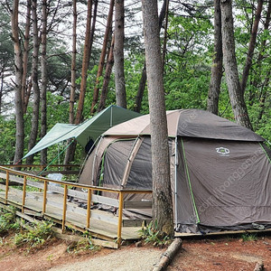 제드 알파 리빙쉘 텐트