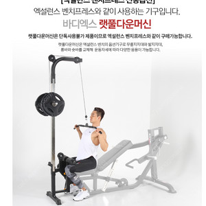 바디엑스 엑설런스 벤치 BK-3019 렛풀다운 옵션만 삽니다