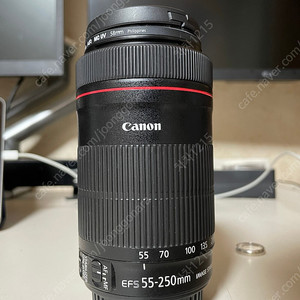 캐논 EF-S 55mm-250mm STM 헝그리망원