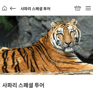 에버랜드 사파리 스페셜투어 10월28일 토요일