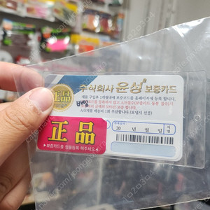 바이오임팩트 73s 160