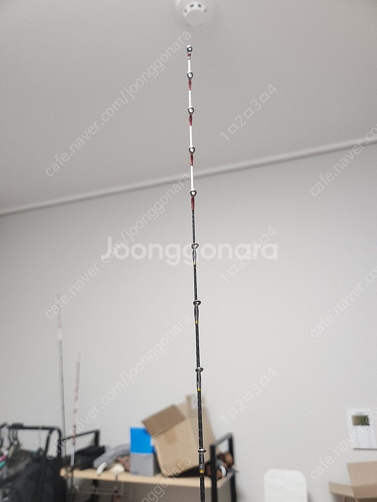 바이오임팩트 73s 160--1