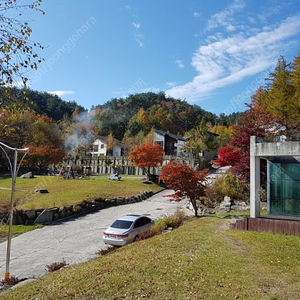 휘닉스파크 인근 원룸형시즌방10개