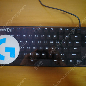 로지텍 G413 SE TKL 키보드 팝니다