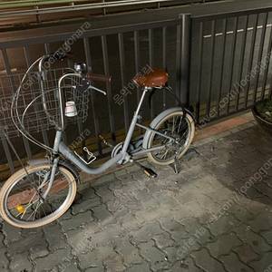 모모코 리스본 강아지 자전거